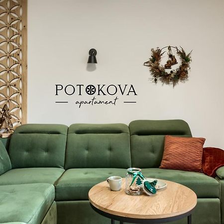 Potokova Apartament Centrum Zakopane Eksteriør bilde